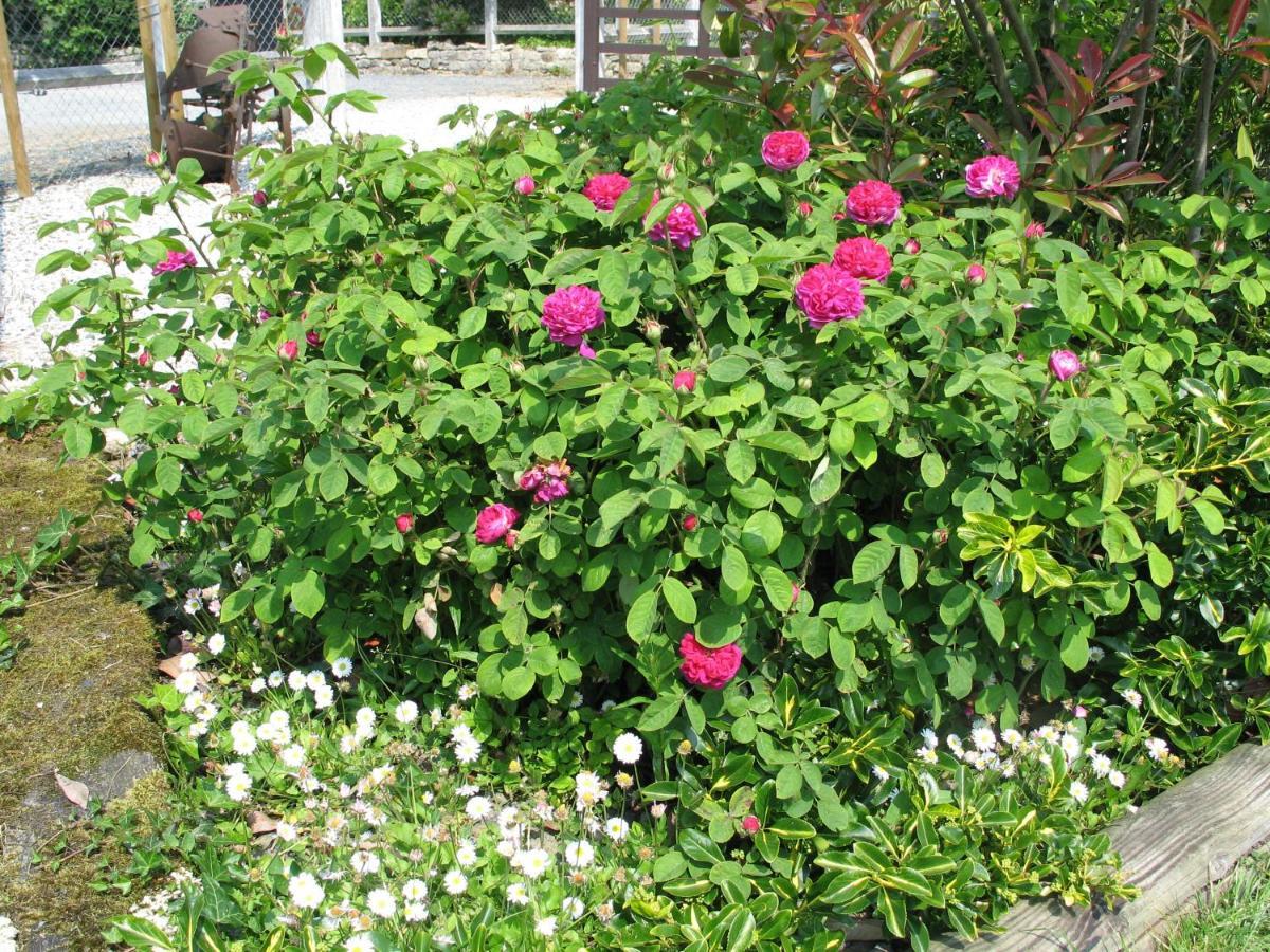 Commes La Goulette B&B 외부 사진